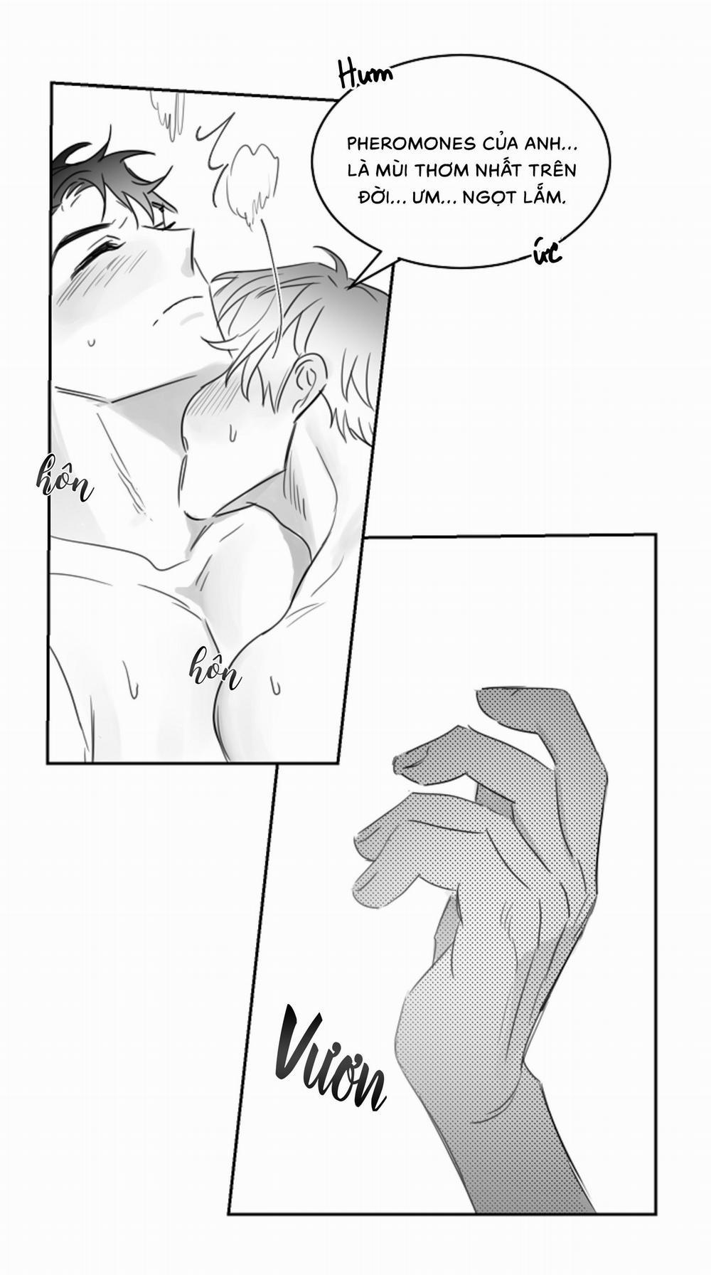 Tình Không Như Mơ 26 trang 19