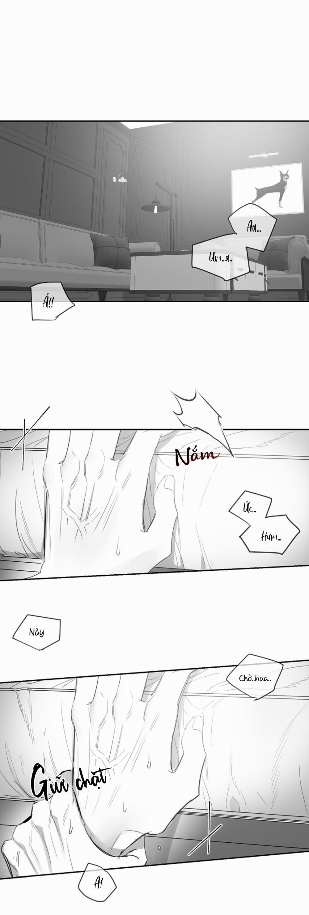 Tình Không Như Mơ 27 trang 0