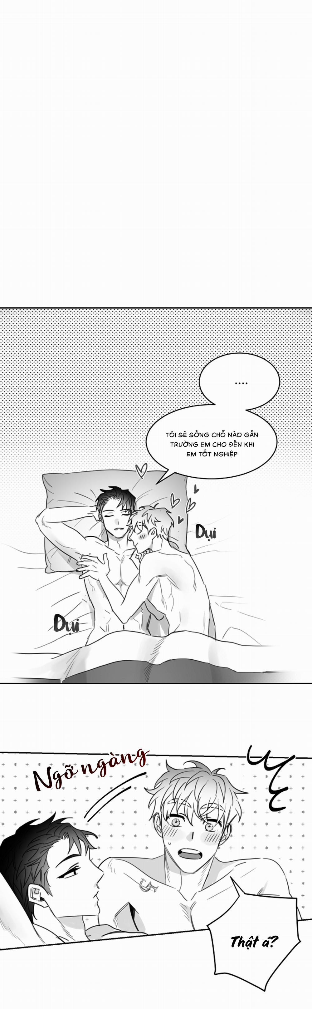 Tình Không Như Mơ 27 trang 15