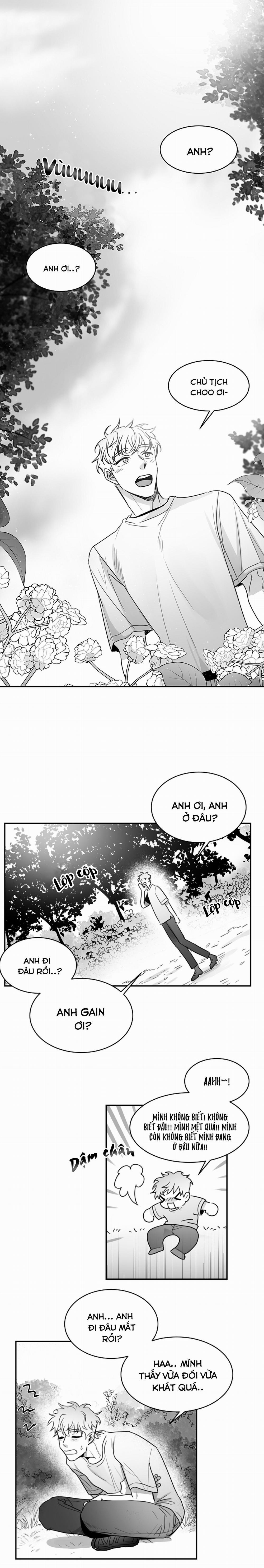 Tình Không Như Mơ 30 trang 0