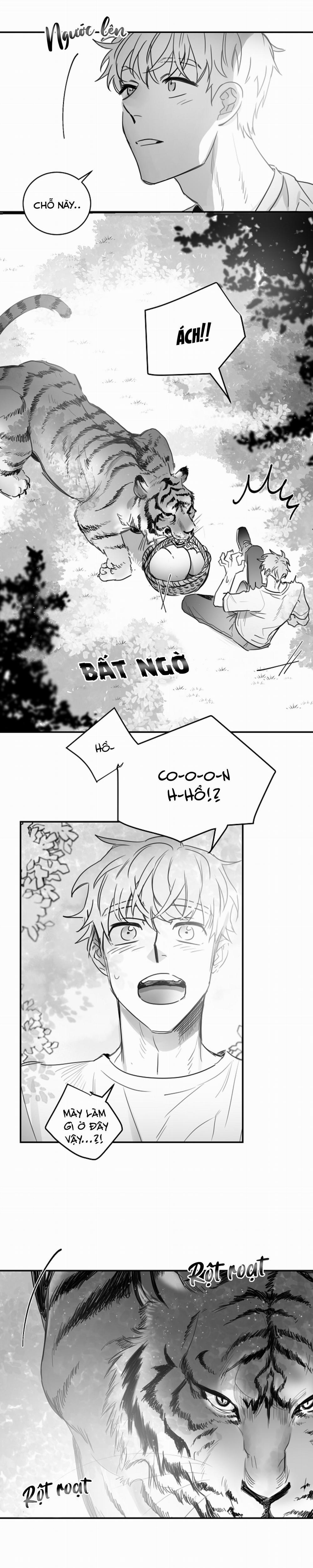 Tình Không Như Mơ 30 trang 1