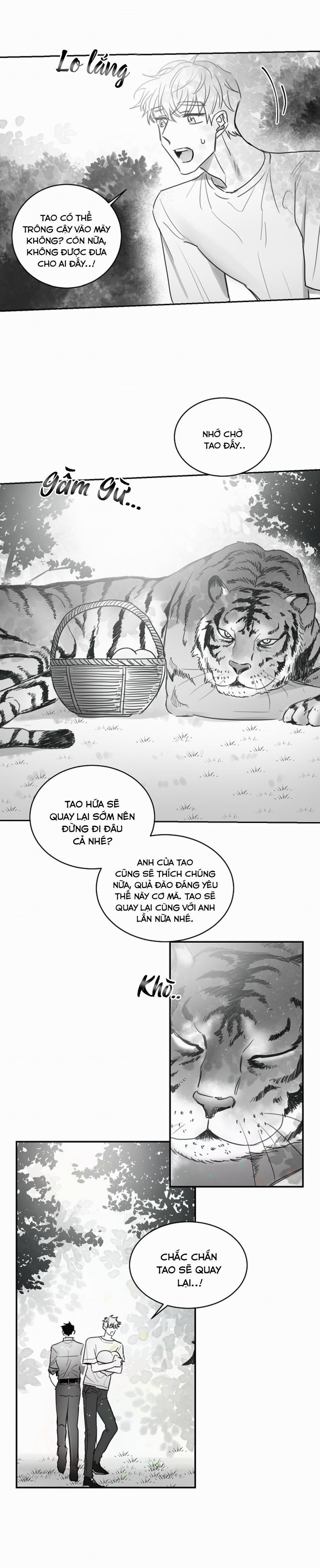 Tình Không Như Mơ 30 trang 4