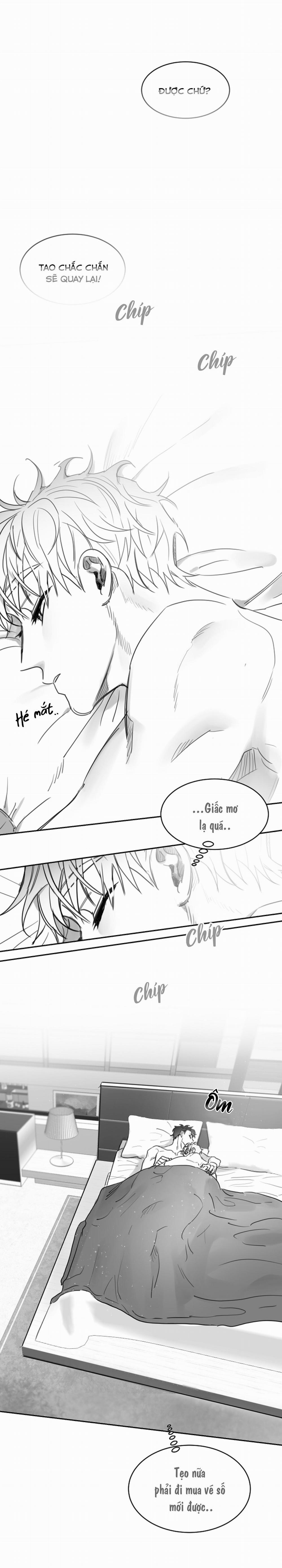 Tình Không Như Mơ 30 trang 5