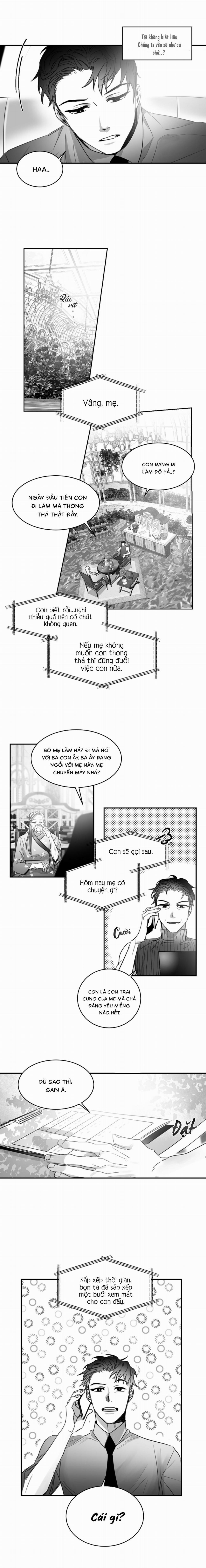 Tình Không Như Mơ 31 trang 3