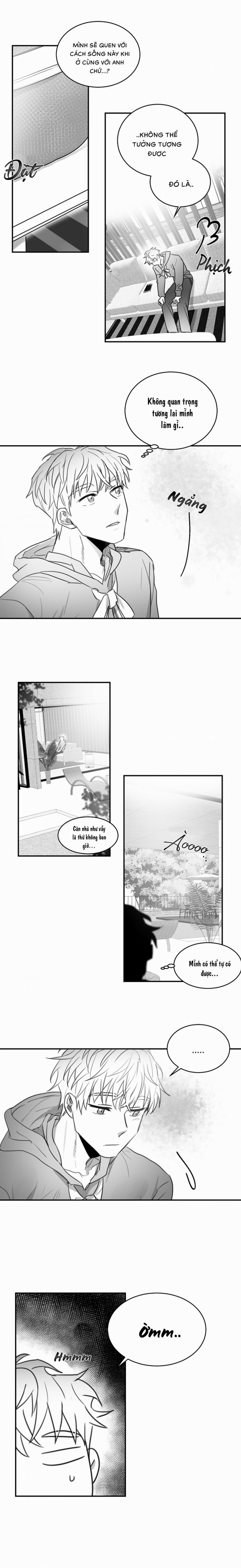 Tình Không Như Mơ 31 trang 8