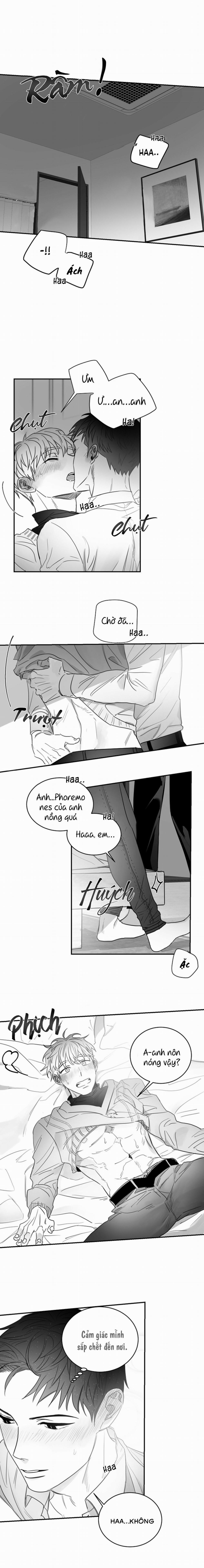 Tình Không Như Mơ 36 trang 4