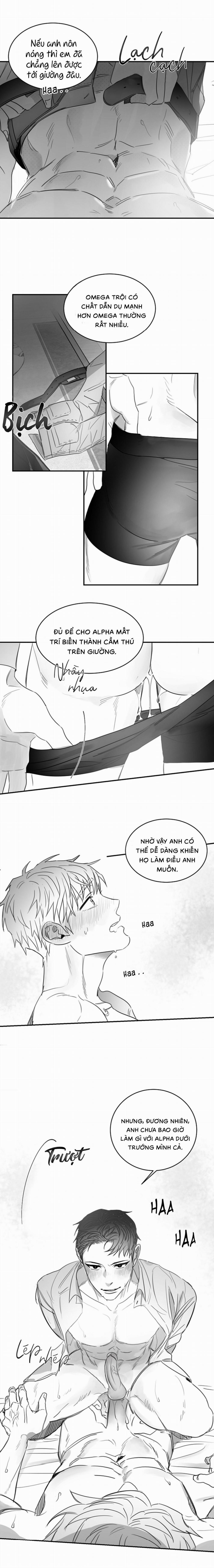 Tình Không Như Mơ 36 trang 6