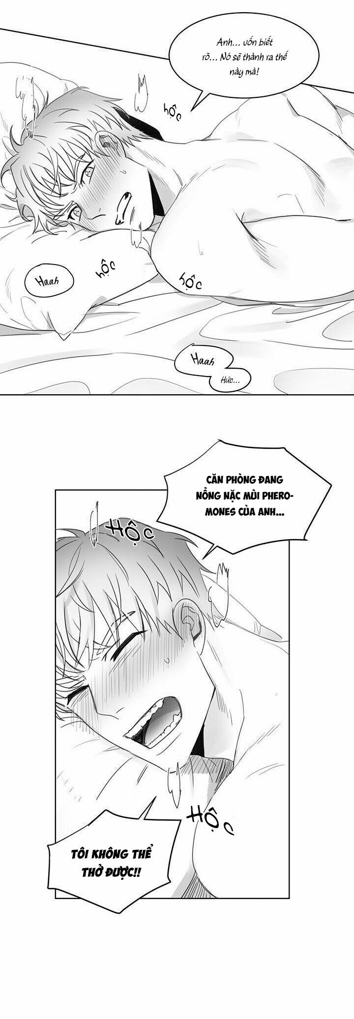 Tình Không Như Mơ 4 trang 2