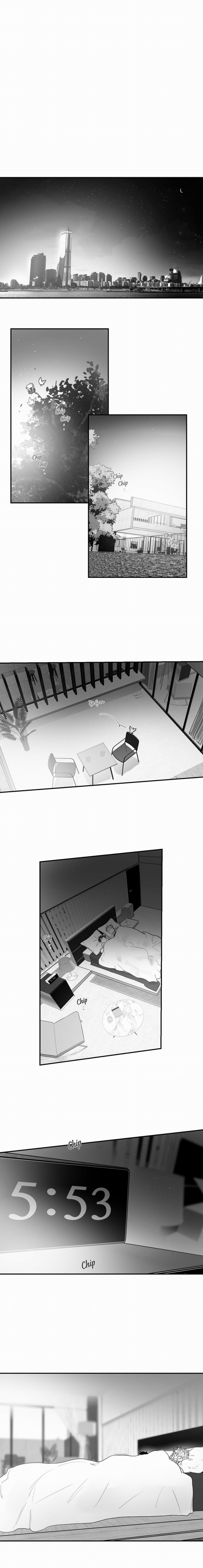 Tình Không Như Mơ 40 trang 0