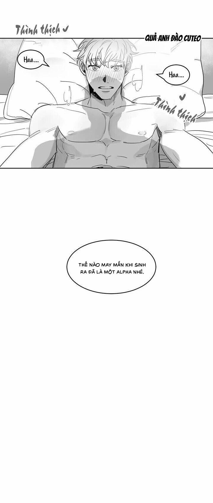 Tình Không Như Mơ 5 trang 13