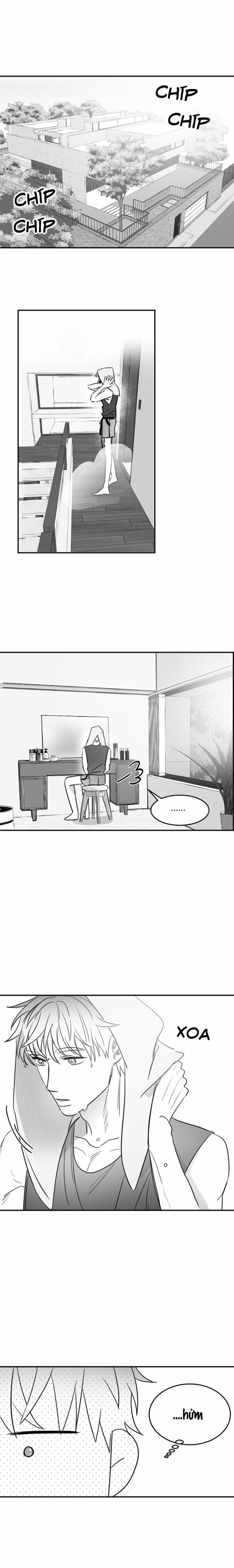 Tình Không Như Mơ 52 trang 0