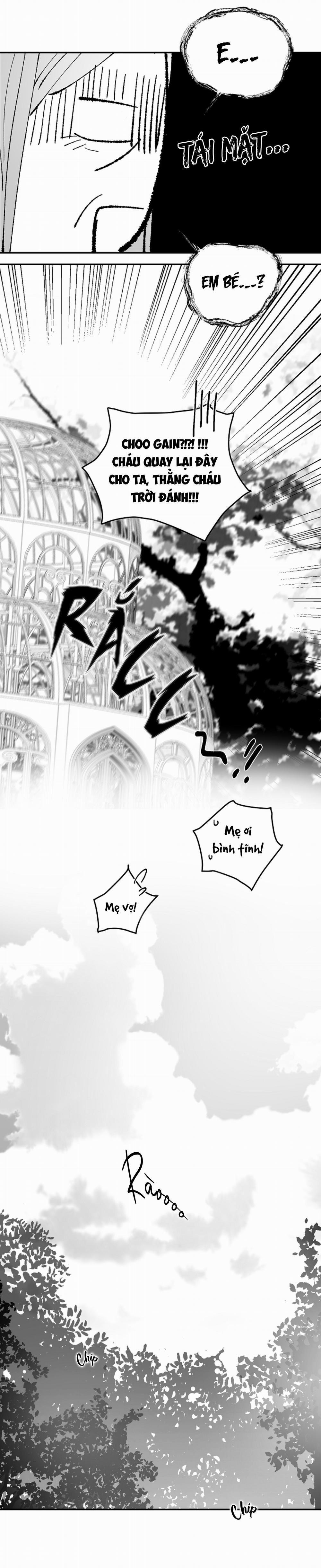 Tình Không Như Mơ 53 trang 12