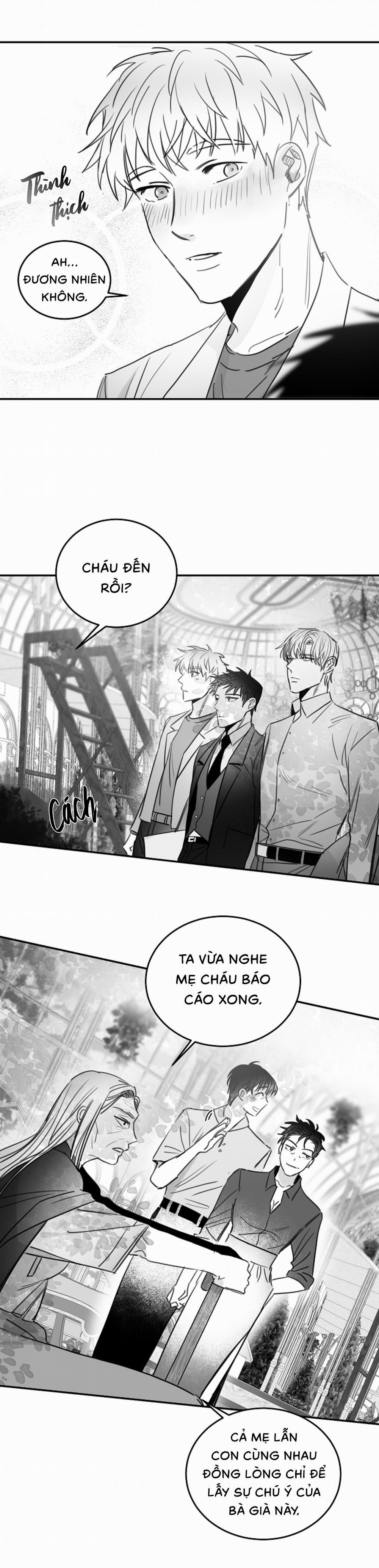 Tình Không Như Mơ 53 trang 3