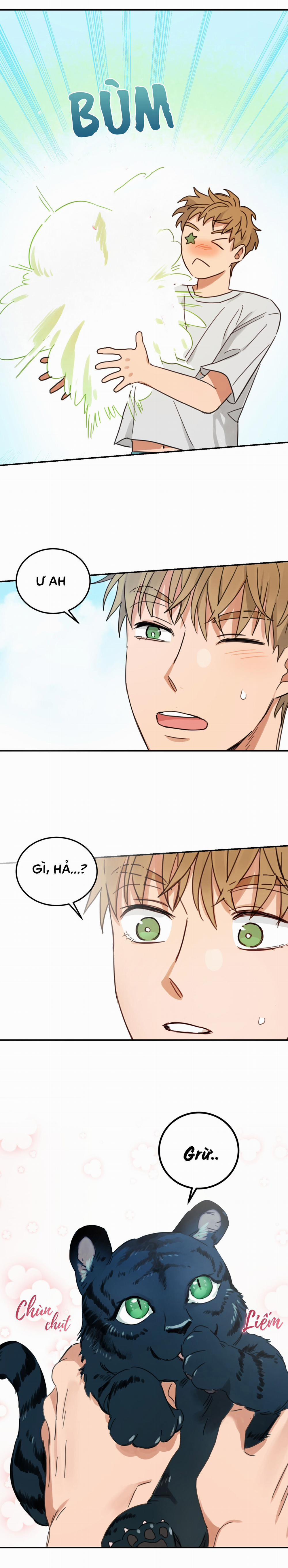 Tình Không Như Mơ 64 trang 14