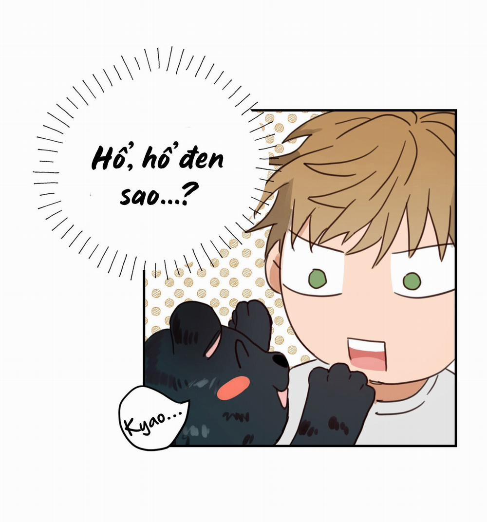 Tình Không Như Mơ 64 trang 15