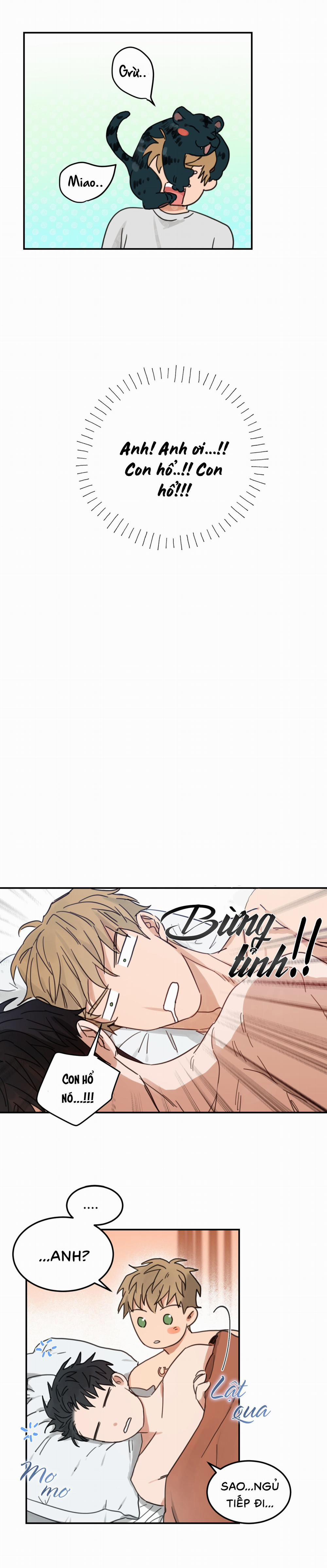 Tình Không Như Mơ 64 trang 16