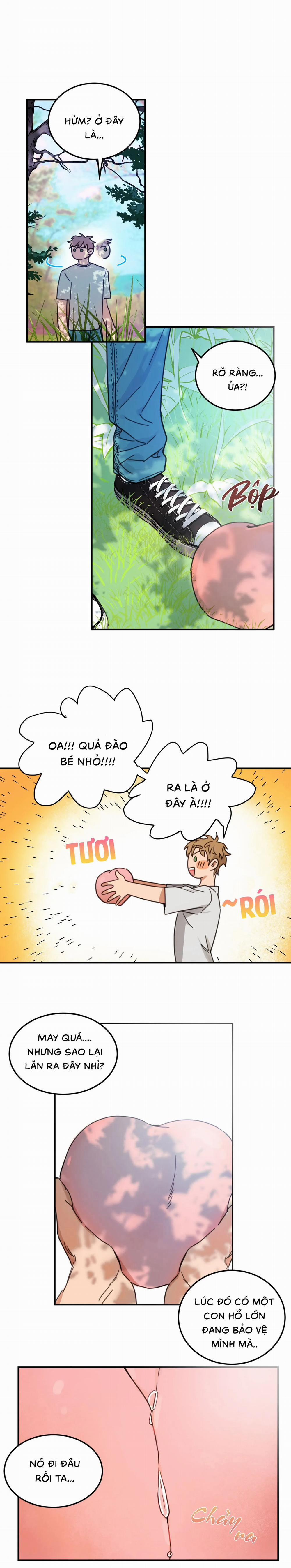 Tình Không Như Mơ 65 trang 13