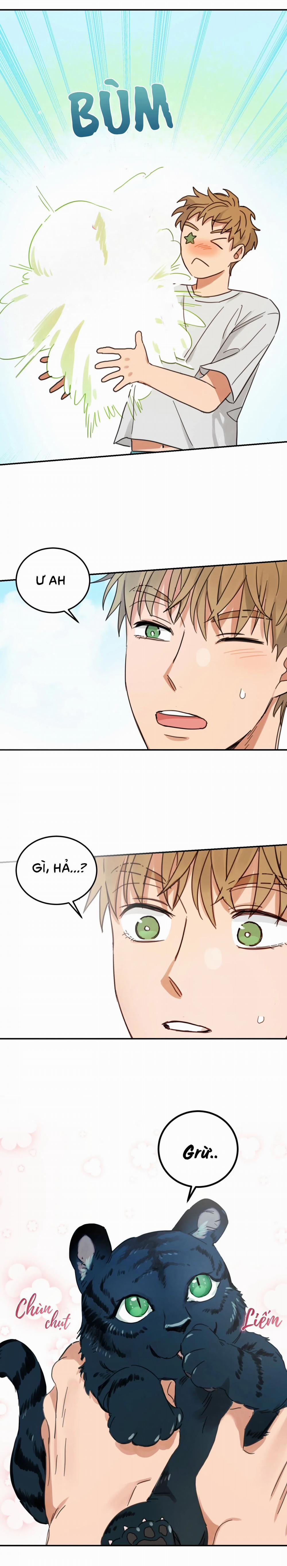 Tình Không Như Mơ 65 trang 14