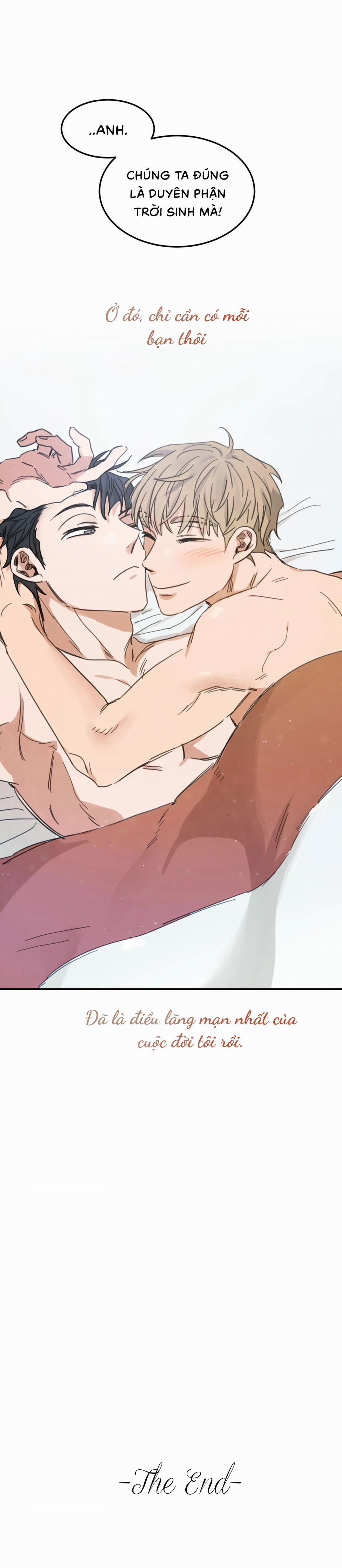 Tình Không Như Mơ 65 trang 19