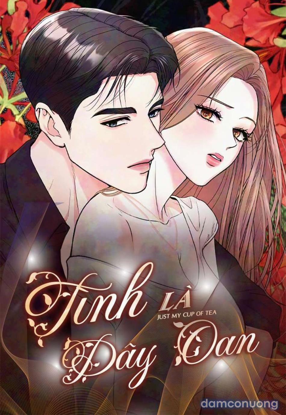 Tình Là Dây Oan 13 trang 0