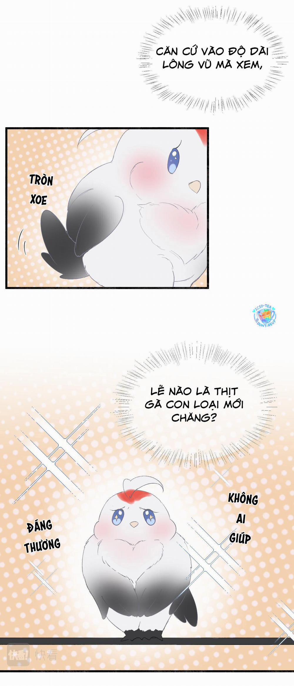 Tình Lang 12 trang 12