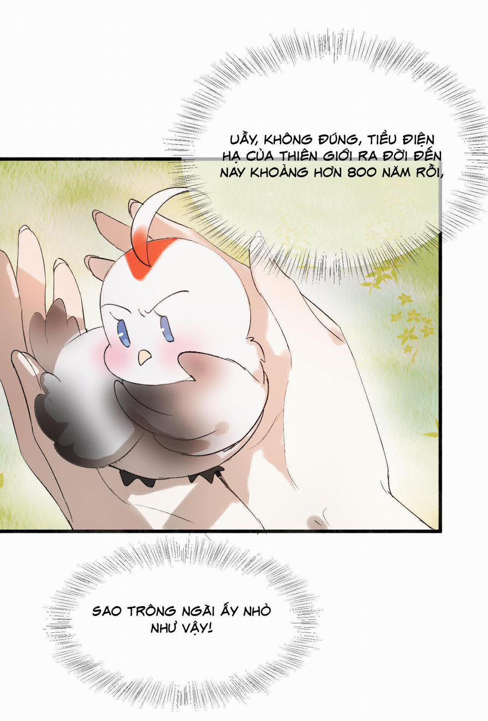 Tình Lang 13 trang 1