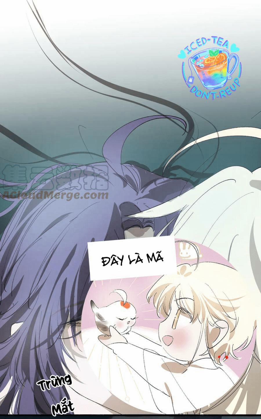 Tình Lang 24 trang 0