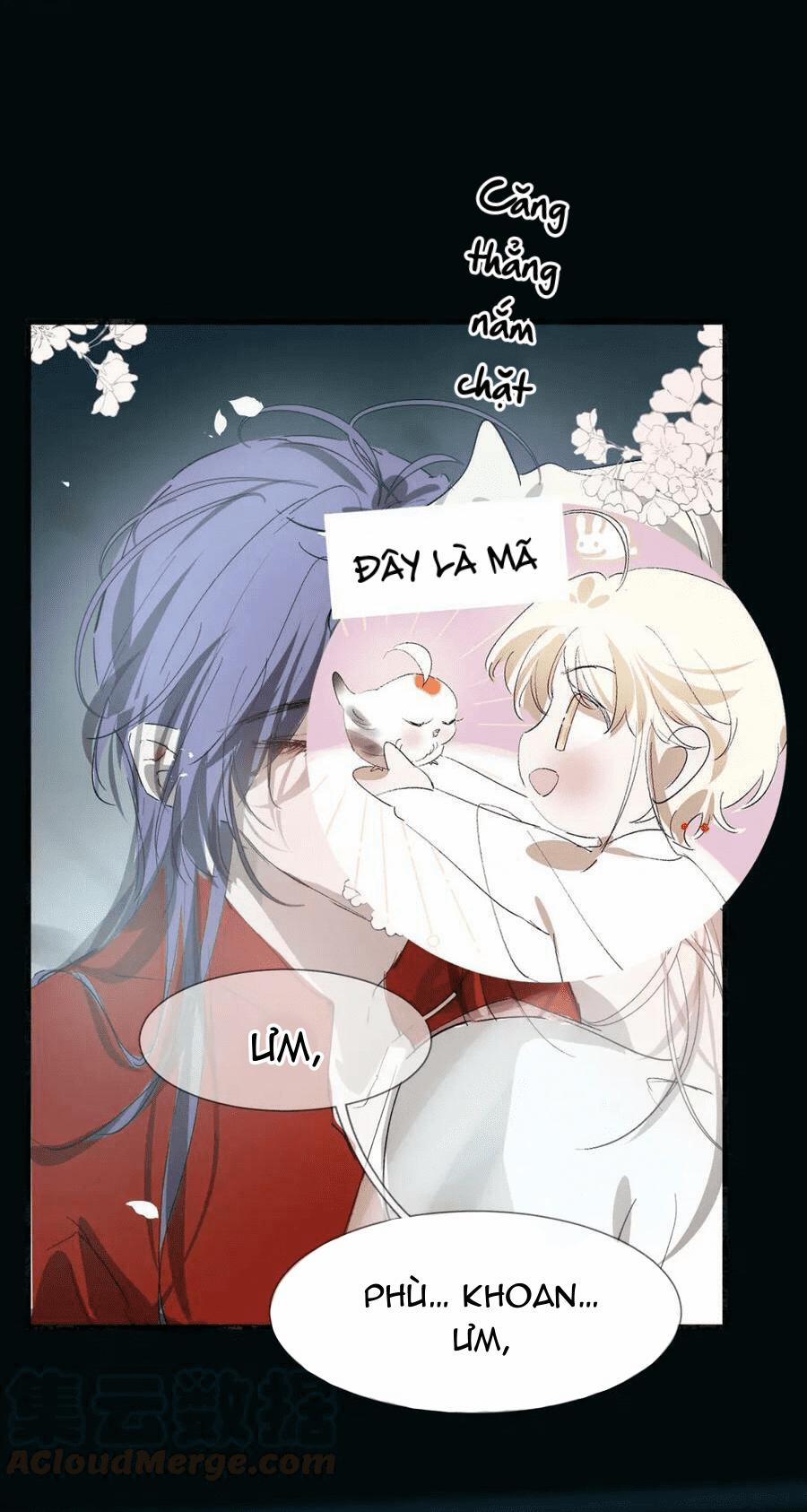 Tình Lang 24 trang 5