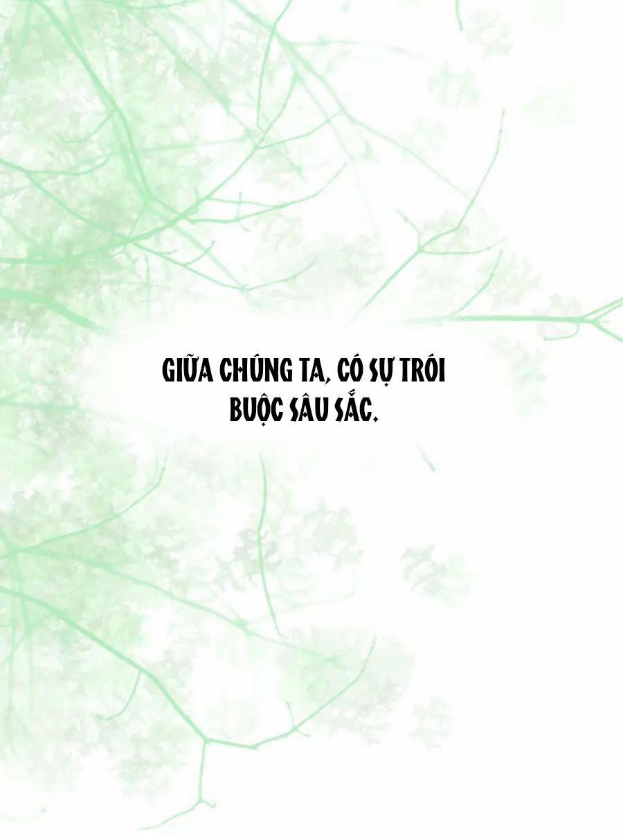 Tình Lang 30 trang 19