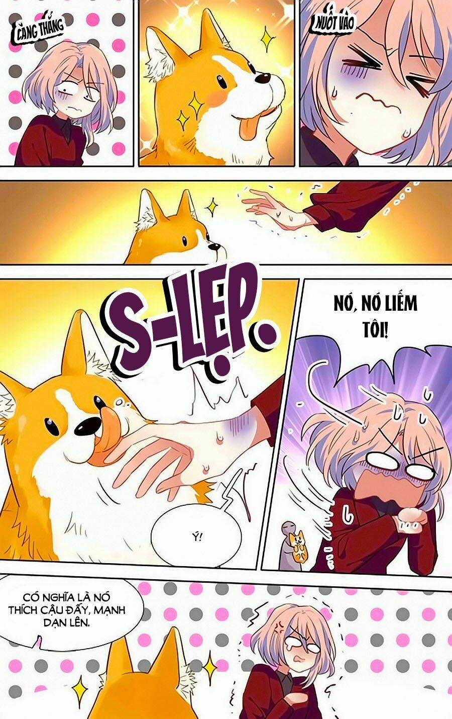 Tinh Mộng Thần Tượng 254 trang 1