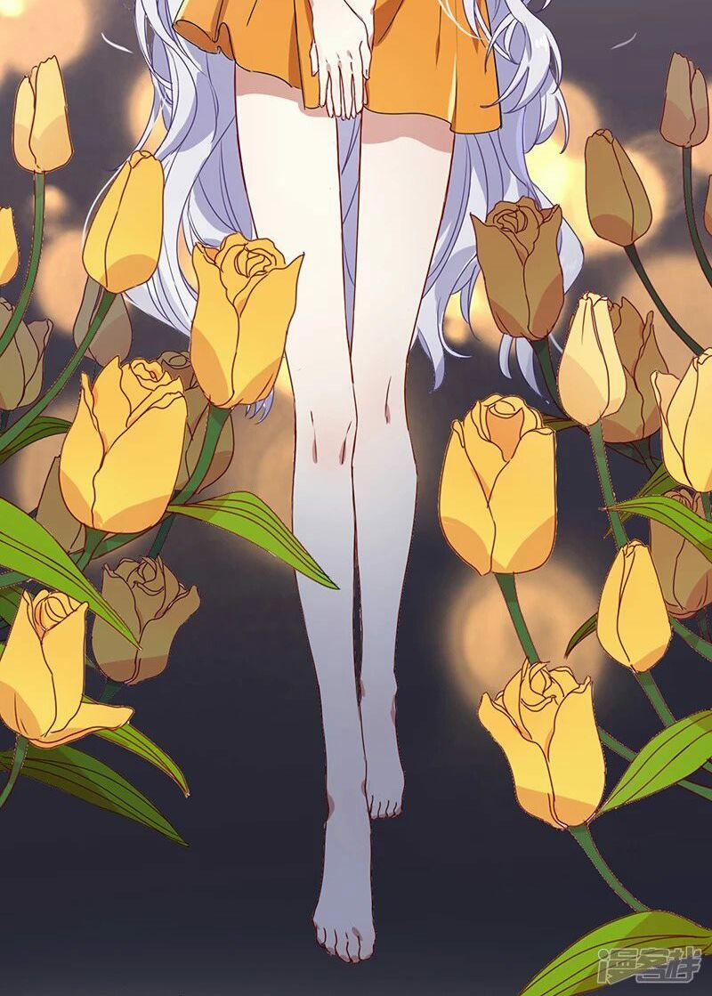 Tinh Mộng Thần Tượng 255 trang 27