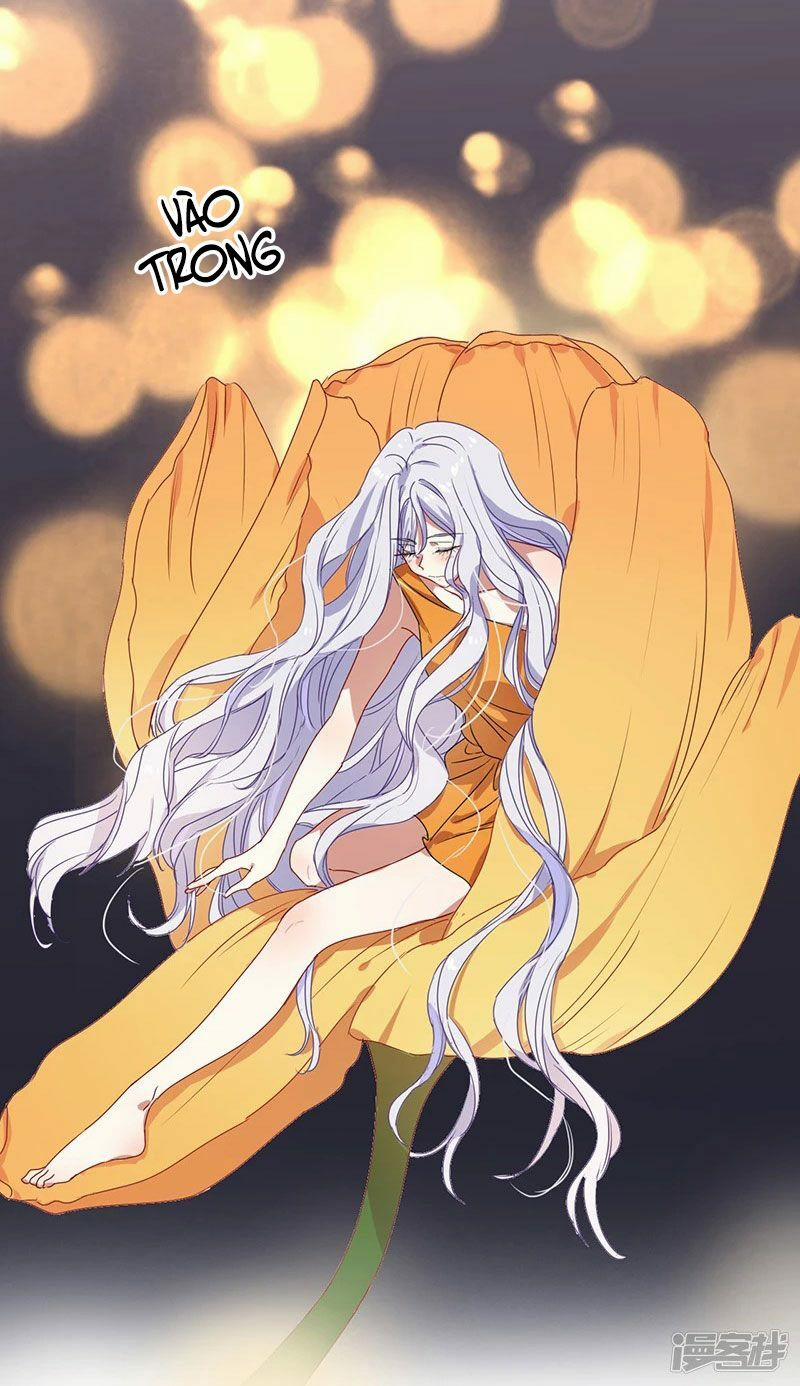 Tinh Mộng Thần Tượng 255 trang 29