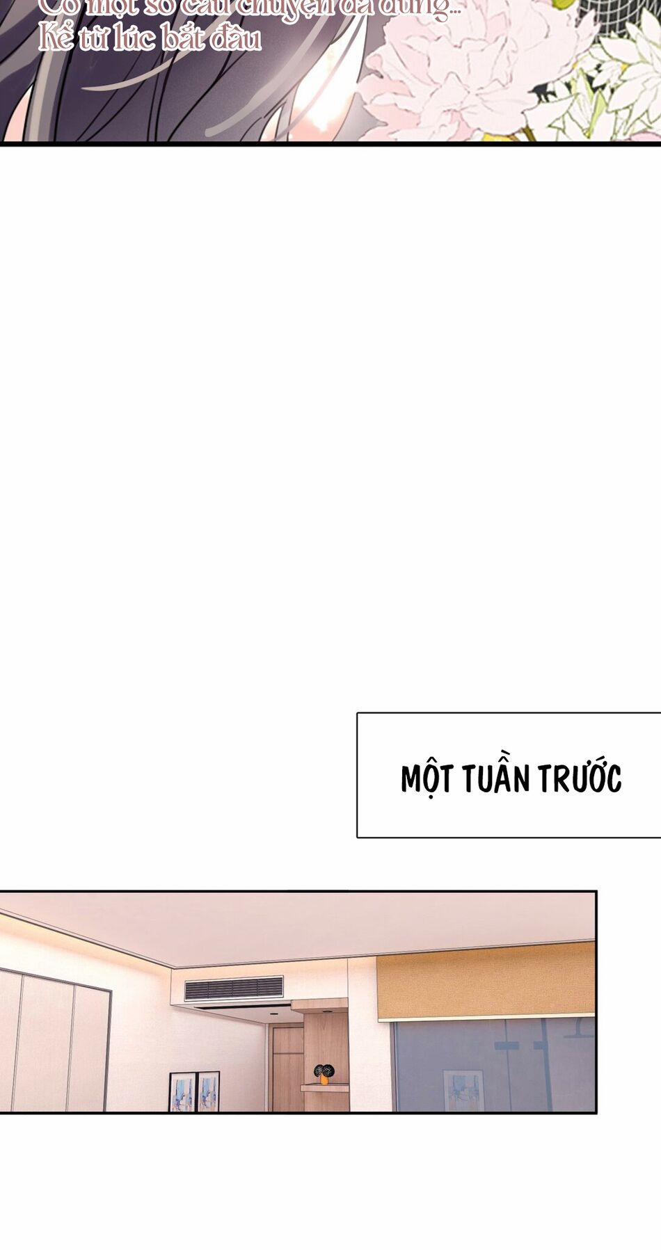 Tinh Mộng Thần Tượng 311 trang 12