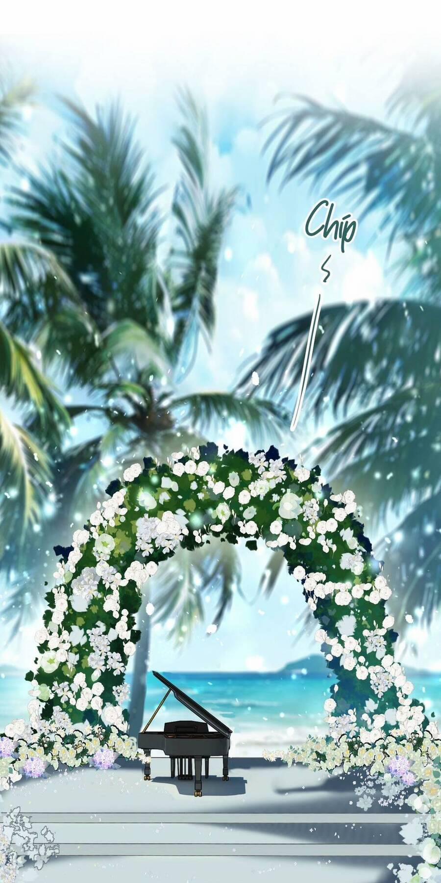 Tinh Mộng Thần Tượng 351.5 trang 14