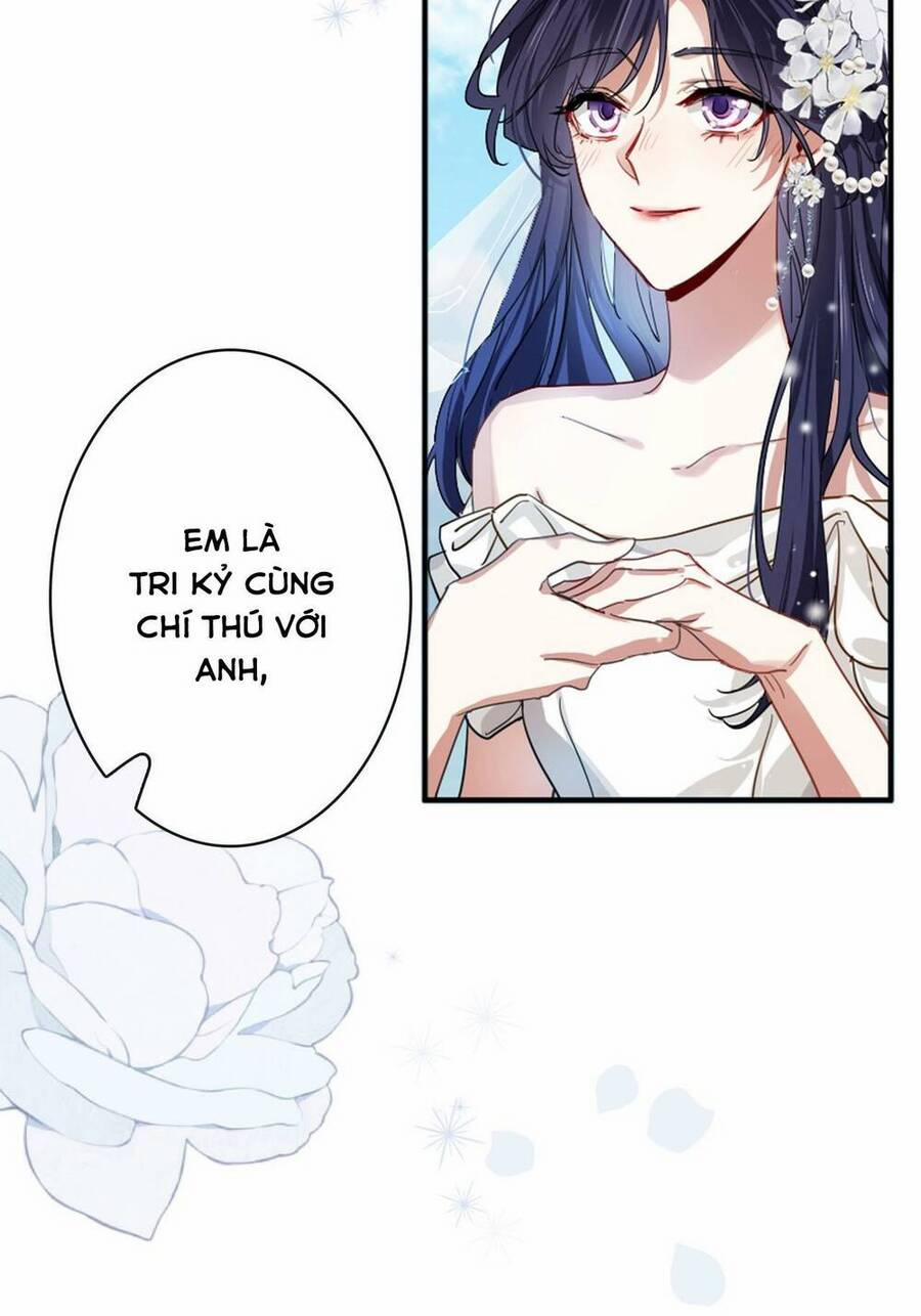 Tinh Mộng Thần Tượng 351.5 trang 22