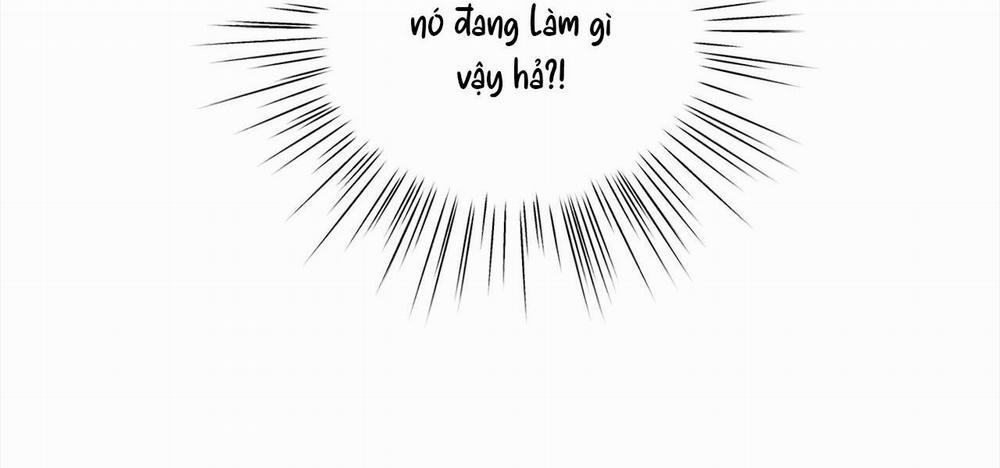 TÌNH NHÂN CỦA ANH TRAI TÔI 11 trang 52