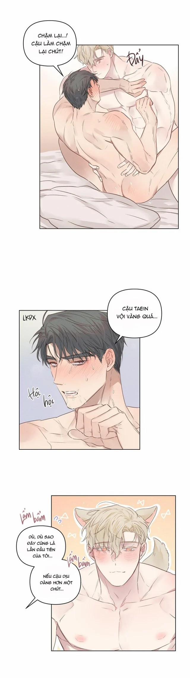 Tình Nhân Đích Thực 4 trang 14