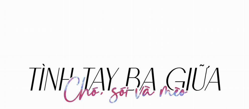 Tình Tay Ba Giữa Chó, Sói Và Mèo 12 trang 11