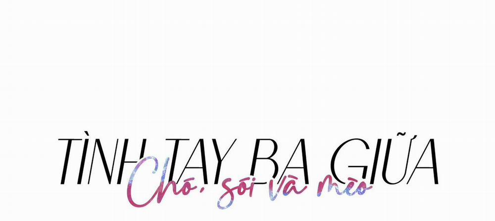 Tình Tay Ba Giữa Chó, Sói Và Mèo 14 trang 49