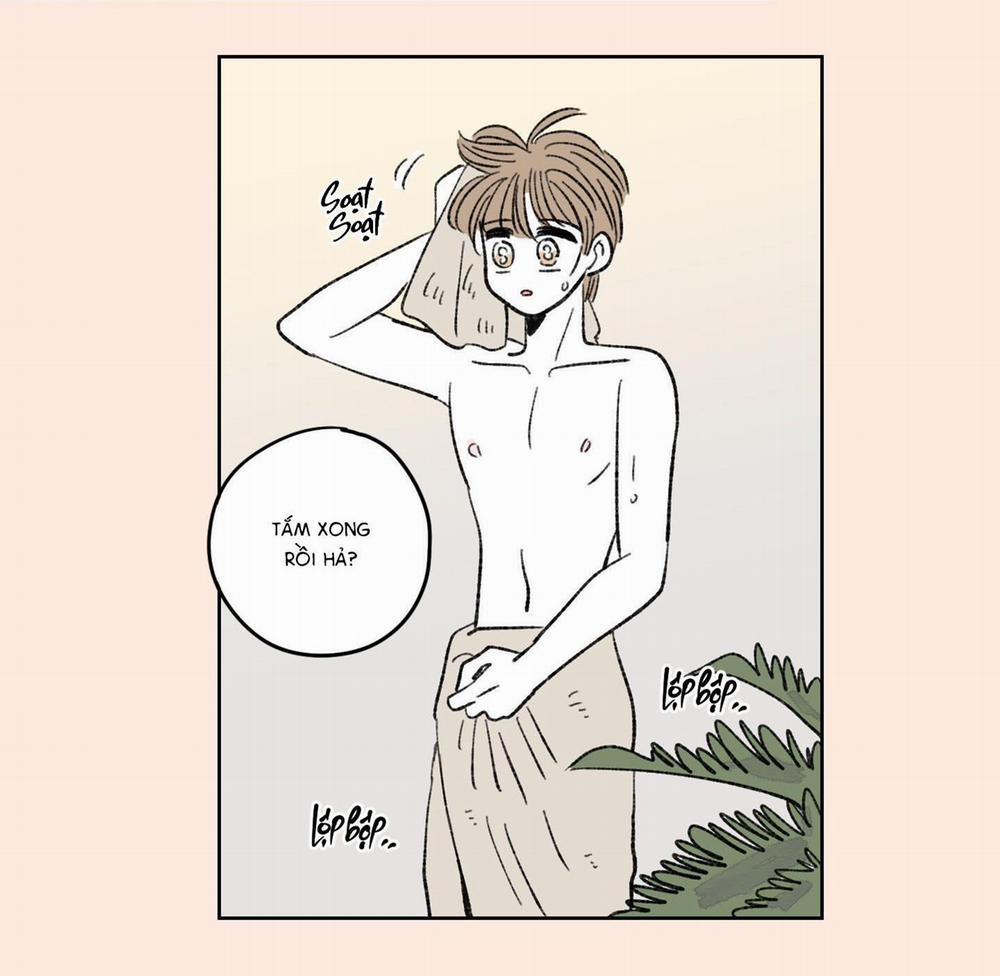 Tình Tay Ba Giữa Chó, Sói Và Mèo 24 trang 12