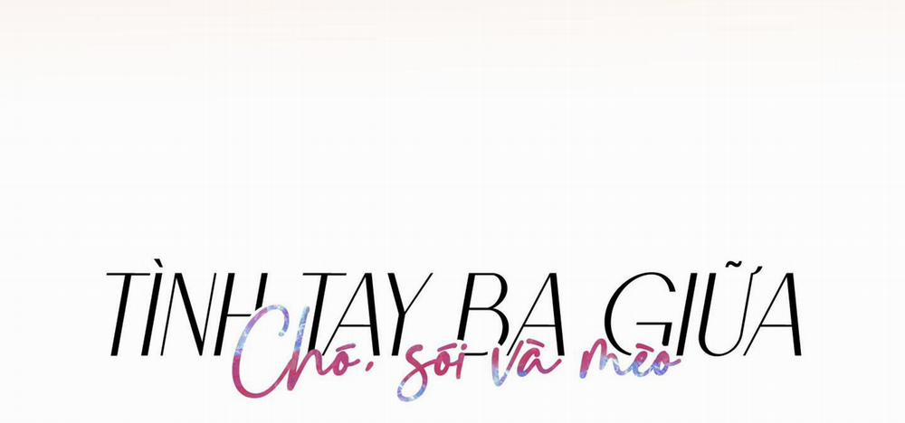 Tình Tay Ba Giữa Chó, Sói Và Mèo 25 trang 12