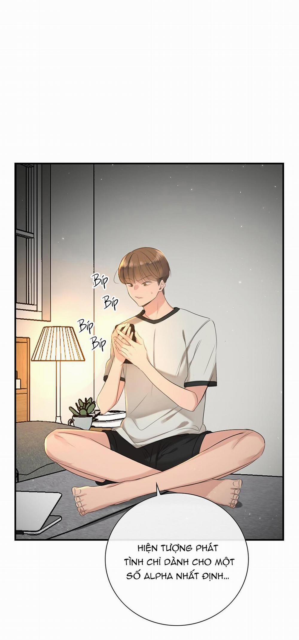 TÌNH THẾ TIẾN THOÁI LƯỠNG NAN CỦA SẾP 11 trang 28