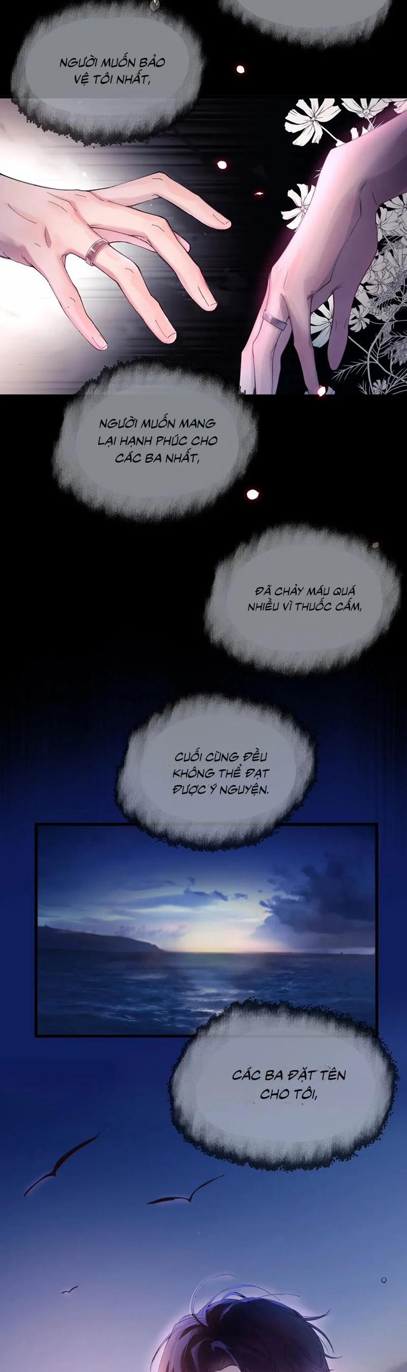 Tinh Vệ 10 trang 12