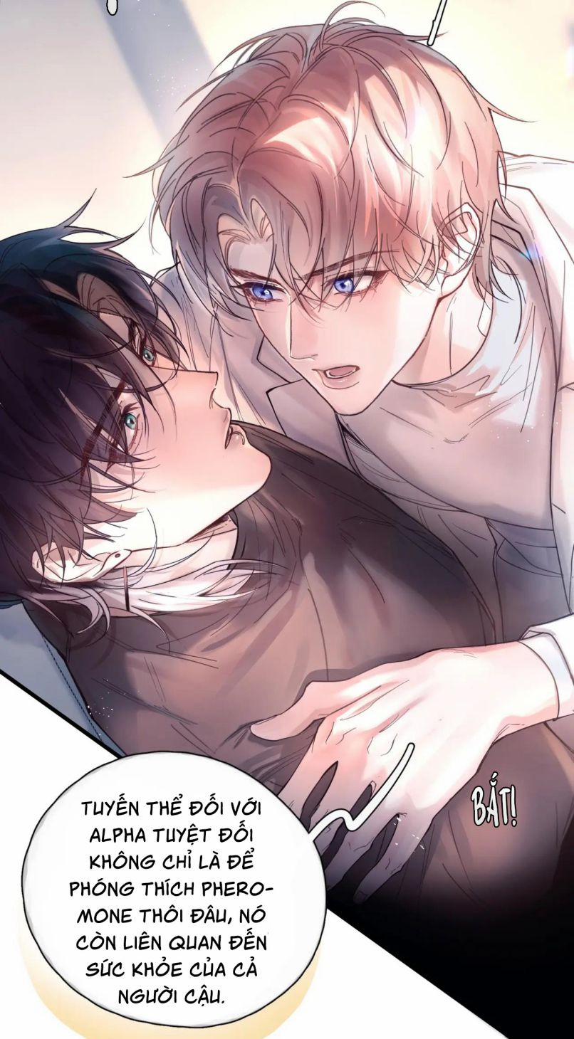 Tinh Vệ 13 trang 18