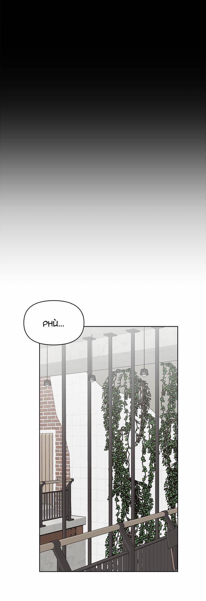 Tình Xưa Viết Lại 43 trang 37