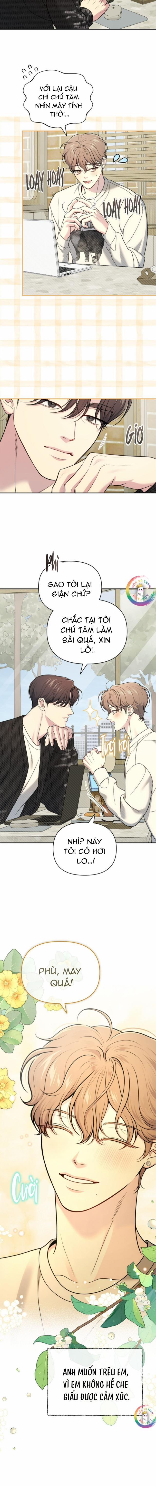 Tình Yêu Bí Mật 35 trang 14