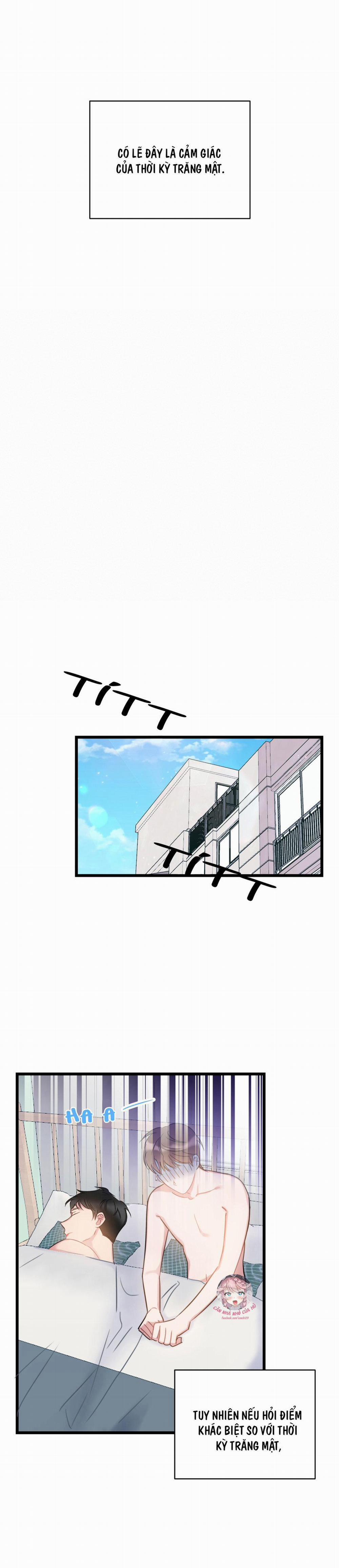 Tình Yêu Bình Dị Nhất 11 trang 18