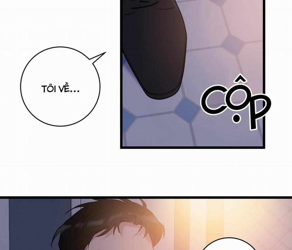 Tình Yêu Bình Dị Nhất 13 trang 5