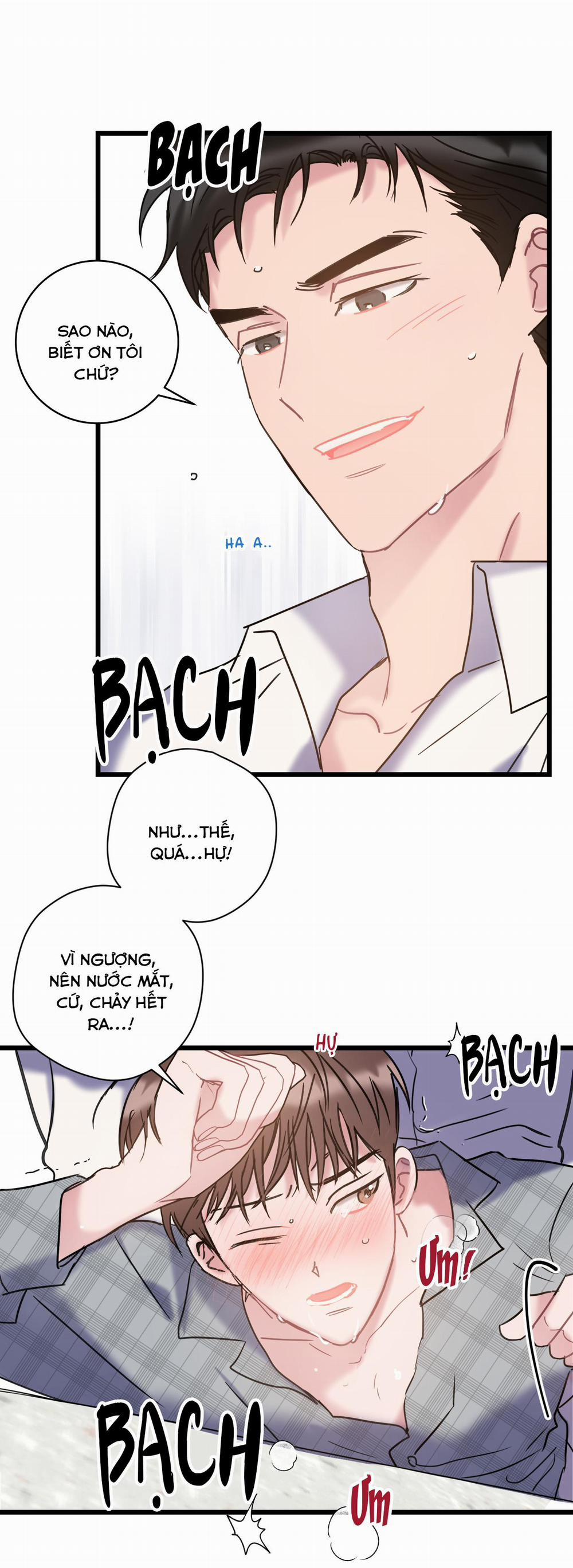 Tình Yêu Bình Dị Nhất 14 trang 10