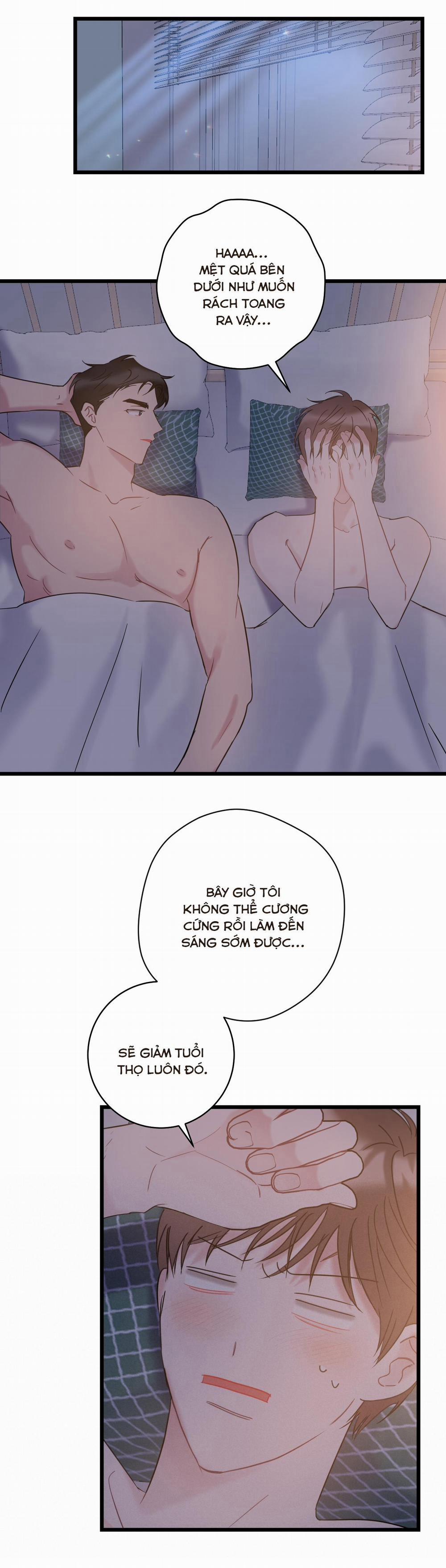 Tình Yêu Bình Dị Nhất 14 trang 13